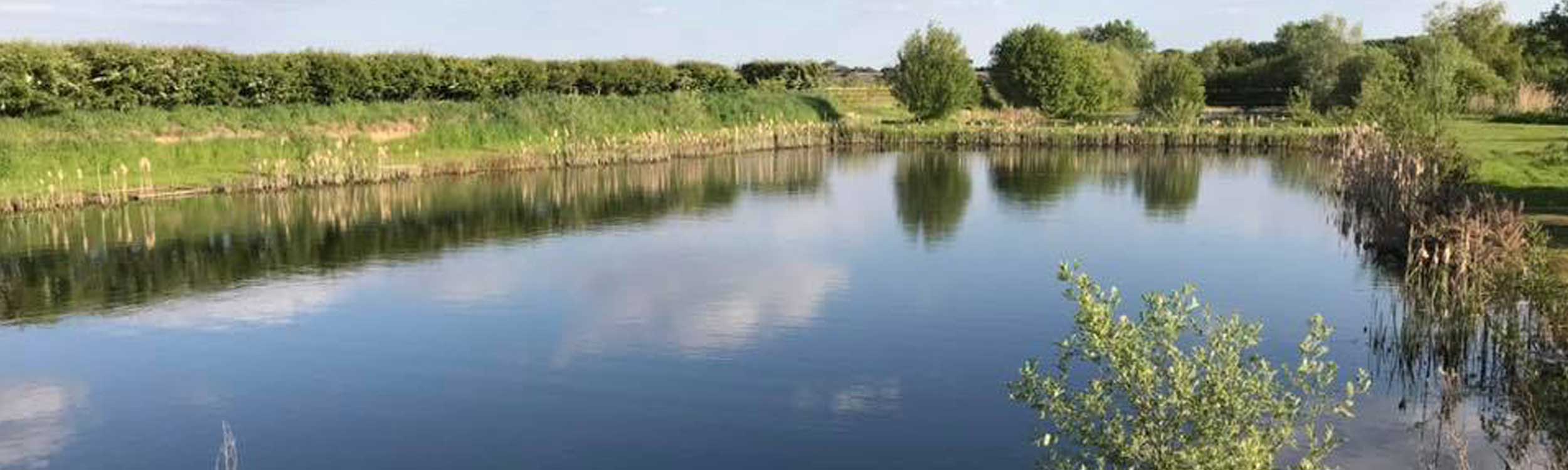Fishing at Torworth Grange, Retford, Notts, fish in one of our many lakes filled with carp and a variety of silver fish, in peaceful surroundings with all the facilities, near worksop, tickhill, tuxford, harworth 